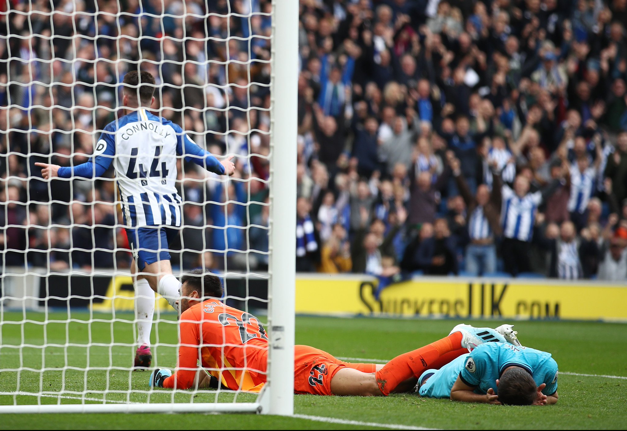 他们不仅是 他们不仅是