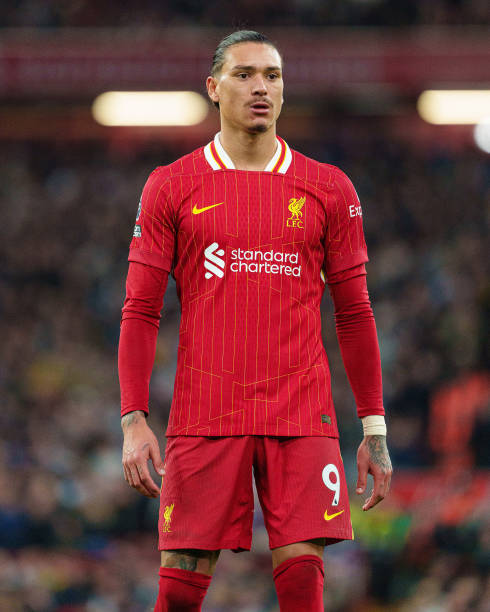 哈赫偏爱高 哈赫偏爱高